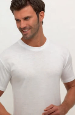Maglia Uomo Girocollo T-Shirt Cotone 100% Ciesseti 33000