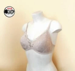 Reggiseno Triangolo Imbottito Pizzo Senza Ferro Diva By Prive' -Sconto Intimo Outlet in Italia thumbnail photo 2019 05 20 14 20 33